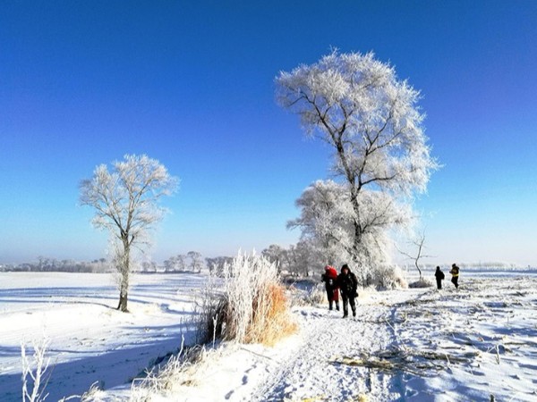 【新世界國際會展】冬季團隊旅游首選圣地-東三省冰雪世界-霧凇島