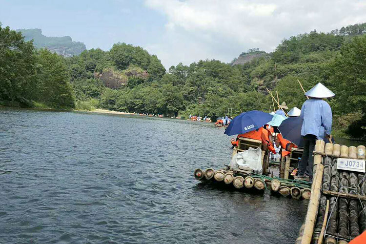 武夷山案例3
